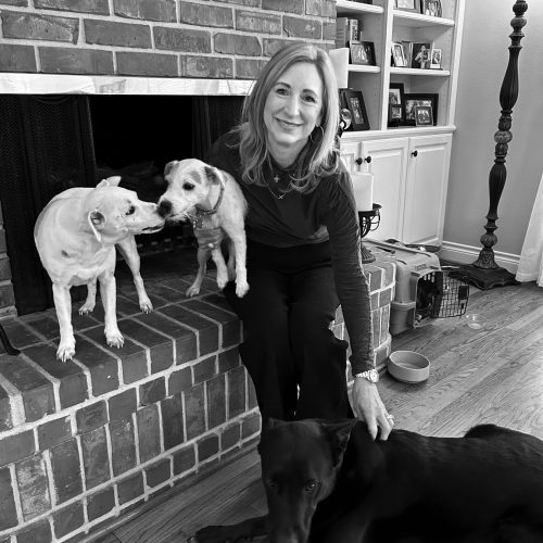 insta corporate post- trish